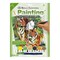 PJS27 | Painting by numbers™ 10pc 8.75" x 11.375" Tigers Painting Project